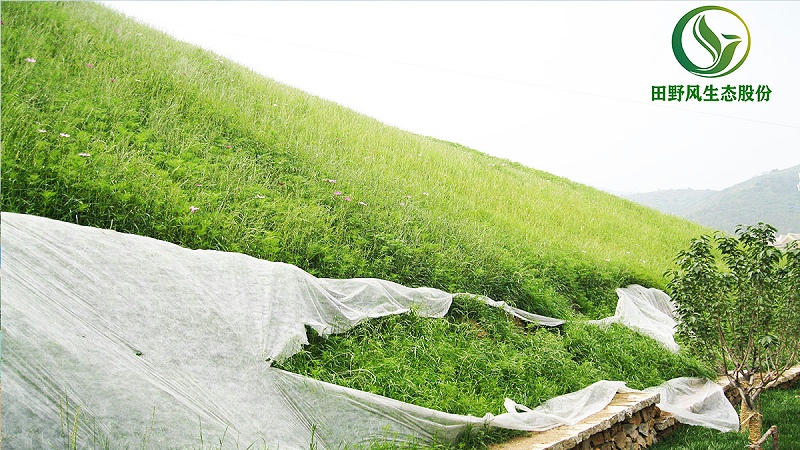 邊坡綠化、生態(tài)防護(hù)