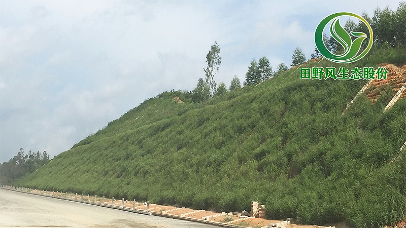 高速公路綠化，生態(tài)防護