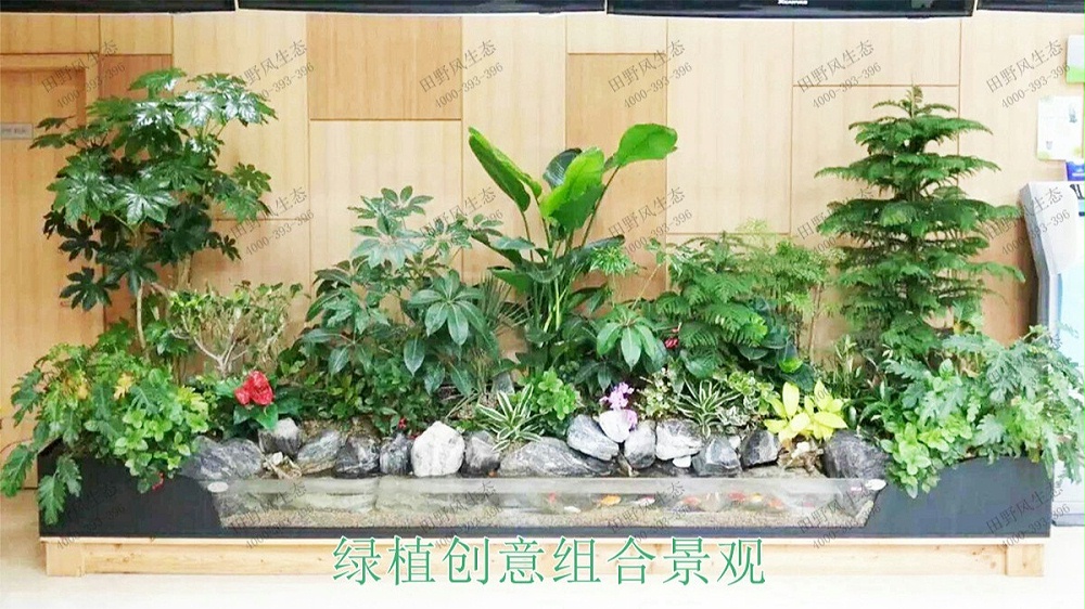 廣州中信廣場(chǎng)室內(nèi)植物租賃合作展示