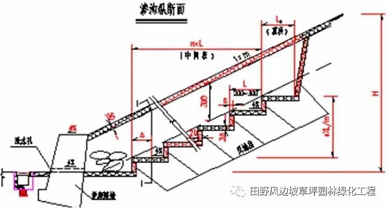 微信圖片_20200603082741