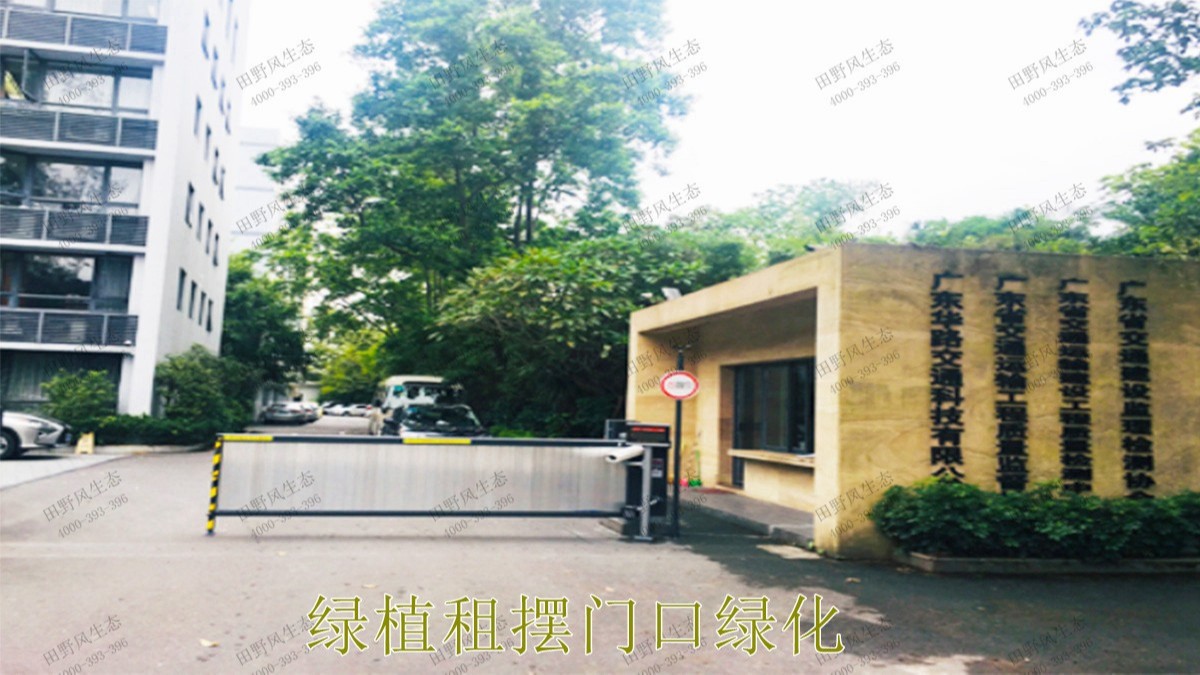 花卉植物租擺,廣東省交通運(yùn)輸建設(shè)工程質(zhì)量檢測中心