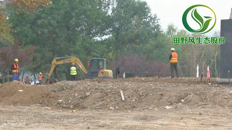 園林綠化，景觀綠化