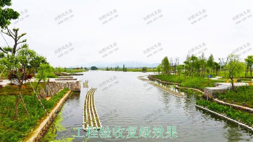 廣寧縣和漫水河道湖泊護(hù)坡綠化