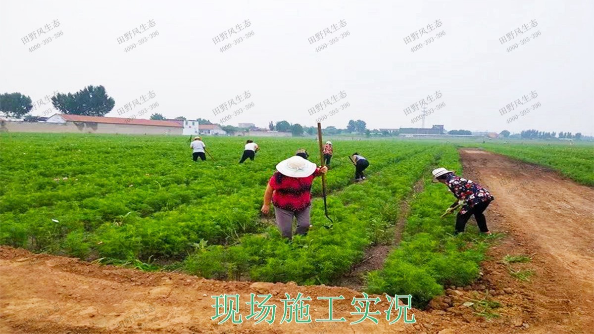 嶺南大地休閑生態(tài)綜合體項(xiàng)目