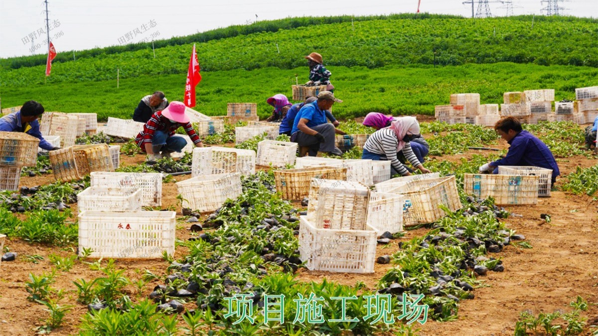 廣西五彩田園休閑農業(yè)生態(tài)園