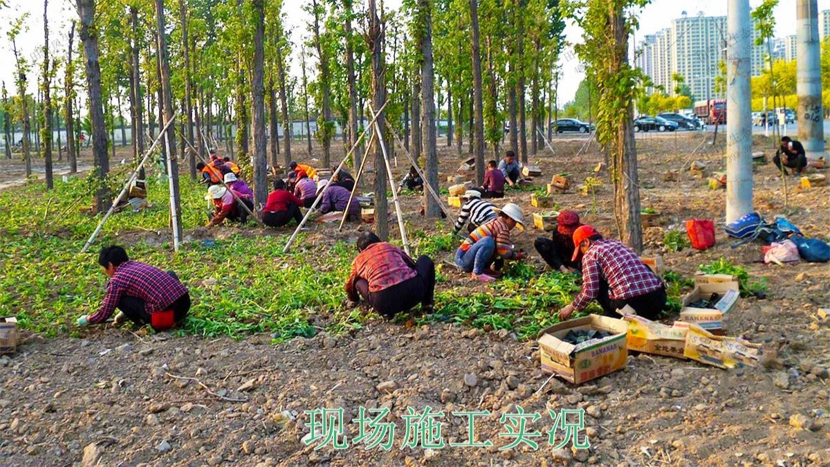 廣西五彩田園休閑農業(yè)生態(tài)園