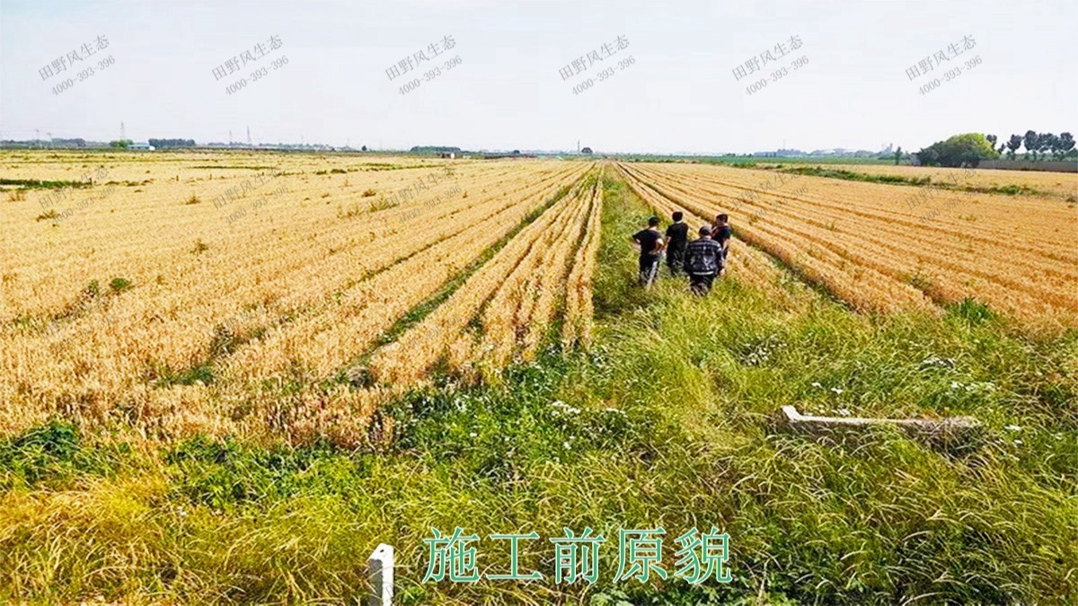 三水僑鑫生態(tài)園綜合體項(xiàng)目