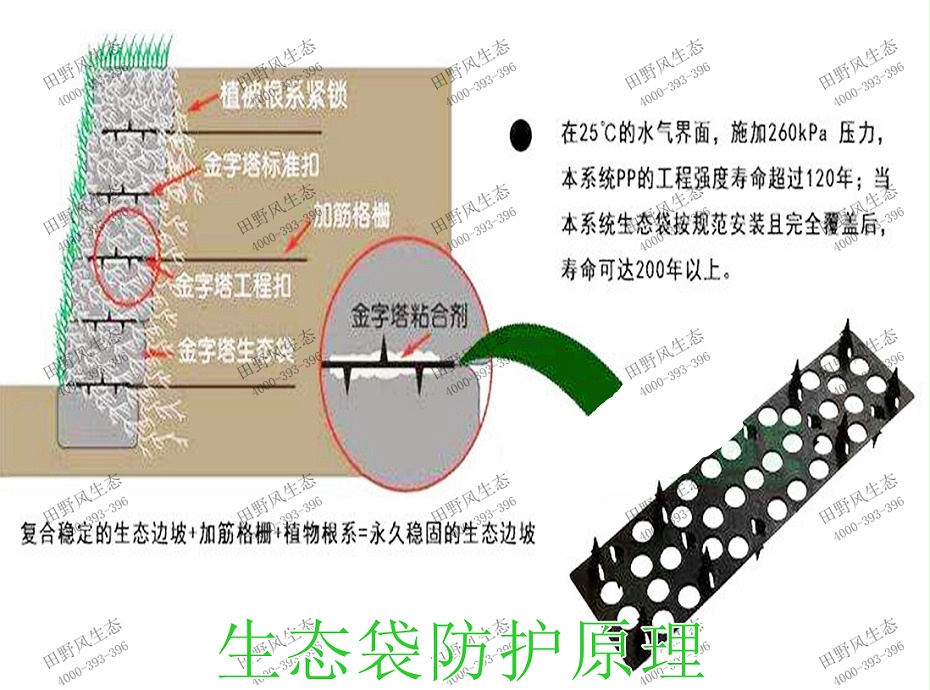 11生態(tài)袋防護原理