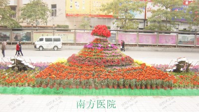 南方醫(yī)院年花訂購(gòu)配送服務(wù)案例展示