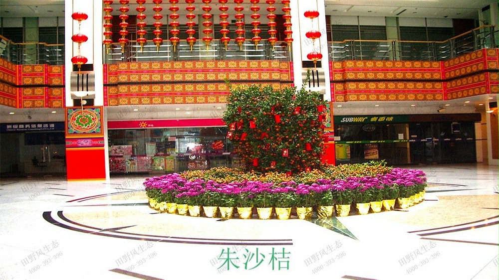 廣州花園酒店綠化綠植養(yǎng)護(hù)維護(hù)