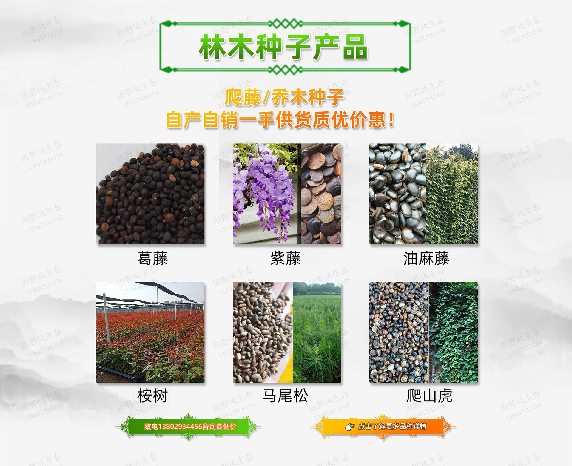 草種子花種子資材設(shè)備廠家供應(yīng)商批發(fā)