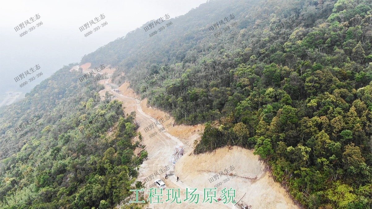 海豐蓮花山山體滑坡地質(zhì)災(zāi)害邊坡噴草