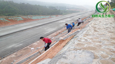 高速公路綠化，有哪些方法與竅門呢？