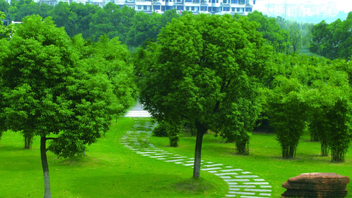 六大園林綠化實用養(yǎng)護技能，你一定要知道！